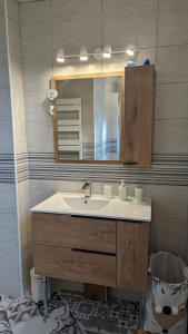 a bathroom with a sink and a mirror at La Belle Noue in Bellenod-sur-Seine +27 photos