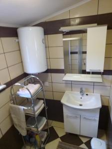 a bathroom with a sink and a mirror at Tomek Apartment in Vir