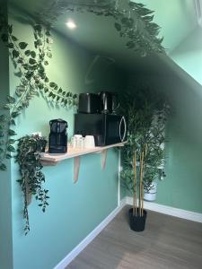a room with shelves and plants on the wall at Jungle Suite - Sauna et Relaxation in Arras