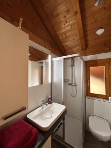 a bathroom with a sink and a shower and a toilet at Blockhaus Bayerischer Wald in Stamsried