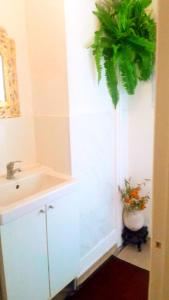 a bathroom with a sink and a potted plant at Central Simple Cambridge stay in Cambridge