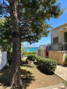a pine tree with a bench next to a house at Casa Punta d'Oro in Faccia di Trippa