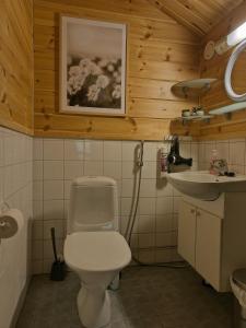 a bathroom with a toilet and a sink at Parimökki Kaarni - 1km Ylläksen rinteisiin in Ylläsjärvi