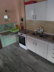 a kitchen with a stove and a sink at Chata Jablunka, Dog friendly, 50m ski slope, 50m restaurant in Pec pod Sněžkou
