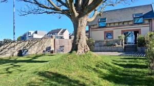 a house with a tree in the yard at L'Erable - Maison vue mer in Donville-les-Bains