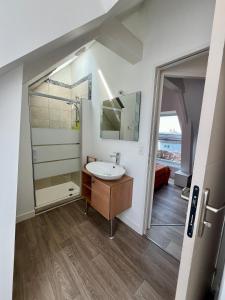 a bathroom with a sink and a mirror at L'Erable - Maison vue mer in Donville-les-Bains +17 photos