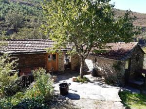 a small stone house with a tree in front of it at Quinta WOW in Benfeita
