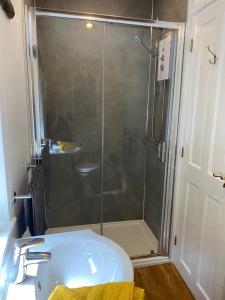 a bathroom with a shower with a sink and a toilet at The Studio Gressingham in Hornby +15 photos