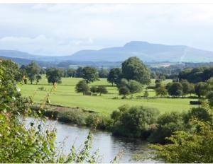 a view of a river with trees and a field at The Studio Gressingham in Hornby
