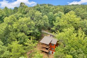 an overhead view of a house in the woods at Sneaky Bear in Sevierville