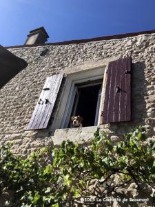 a dog sticking its head out of a window at La Cachette de Beaumont in Marsais