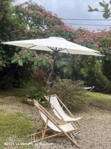 a chair and an umbrella in a yard at La Cachette de Beaumont in Marsais