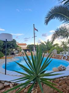a plant in front of a swimming pool at Luagos club Resort in Lampedusa