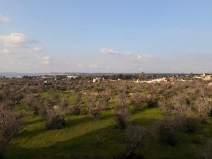 a green field with trees and buildings in the background at Art & Relax House in Gallipoli