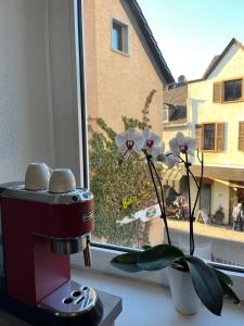 a hair dryer sitting on a window sill with flowers at Ferienwohnung Blerta in Gerolstein