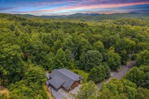 an overhead view of a house in the woods at Chasing Cubs Cabin by Beyond Expectations in Sevierville