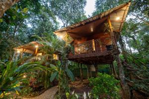a tree house in the middle of the forest at Monsoon Retreats by DAAN in Thekkady