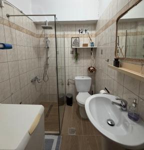 a bathroom with a shower and a toilet and a sink at The Stay in Igoumenitsa +14 photos