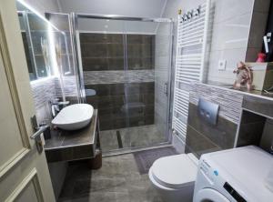 a bathroom with a shower and a toilet and a sink at Belajec Wine & Nature Retreat in Veliko Brdo +22 photos