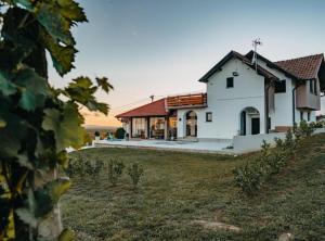 a house in a field with a yard at Belajec Wine & Nature Retreat in Veliko Brdo