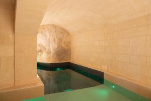 ein Wasserbecken in einem Raum mit einer Steinwand in der Unterkunft Cenobio Hotel & SPA Matera in Matera