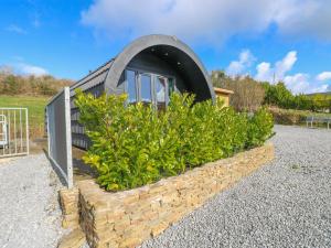 a small house with a window and some plants at Thelmas Lodge in Llanelli