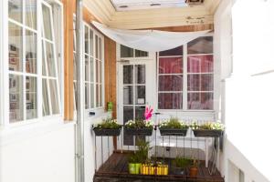 a porch with windows and potted plants at Lotte - The Backpackers in Heidelberg