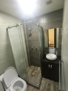 a bathroom with a shower and a toilet and a sink at HOTEL El MONARCA in Tunja
