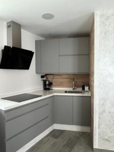 a kitchen with gray cabinets and a sink at VUT La CEPEDA in Astorga