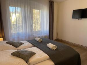 a bedroom with two beds with pillows on them at Penzion Vejprty in Vejprty