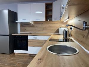 a kitchen with a sink and a stainless steel refrigerator at Penzion Vejprty in Vejprty +11 photos