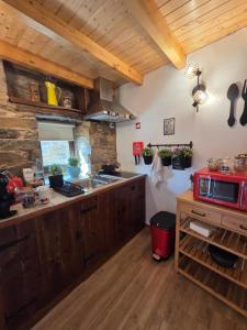 a kitchen with wooden cabinets and a red microwave at Casa do Tear in Sobreira Formosa