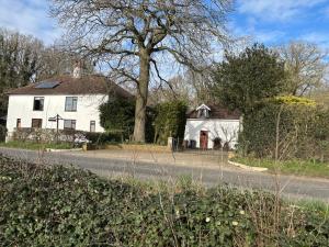 a white house on the side of a road at Squirrel View Cottage B&B in Buckenham