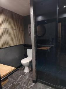 a bathroom with a toilet and a glass shower at Appartement thème cinéma in Cazouls-lès-Béziers