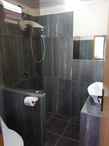 a bathroom with a shower and a toilet and a sink at Cabana Luna in Jicaral