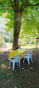 a table and two chairs sitting under a tree at Le Village Champignon in Aspet