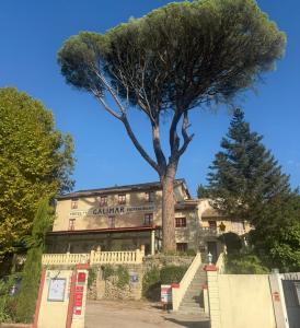a tree in front of a building at HOTEL GALIMAR in Lamalou-les-Bains