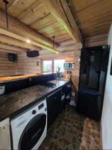 a kitchen with a stove and a sink and a dishwasher at Vila Noruciai in Šašeliai +18 photos
