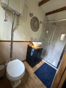 a bathroom with a toilet and a sink and a shower at Swifts Return Shepherd's Hut in North Lopham