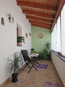 a room with a chair and a table and some plants at Casa La Dimora in SantʼAlfio