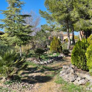 a garden with trees and a house in the background at Finca Don Sancho by Mayne in Lillo
