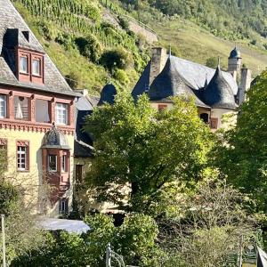 a group of houses on a hill with trees at Haus Till E in Zell an der Mosel