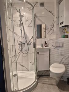 a bathroom with a shower and a toilet at Apartament Serbinowska in Kalisz
