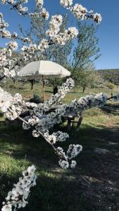 a park bench with an umbrella in the grass at MOZa LUZe - Off Grid Casa Rural in El Pilar y Provincias