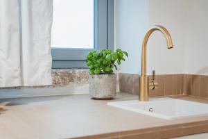 a potted plant sitting on a kitchen counter next to a sink at Dimore Bianche, Santa Chiara in Putignano