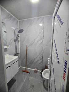 ein kleines Badezimmer mit Dusche und Toilette in der Unterkunft goderdzi apartaments in Danisparauli
