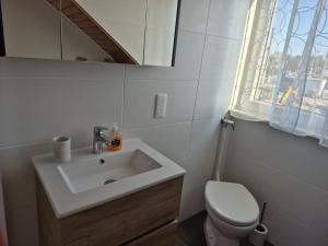 a bathroom with a sink and a toilet and a window at maison prairie in Haguenau
