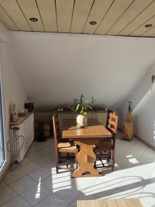 a table and chairs with a potted plant on it at maison prairie in Haguenau