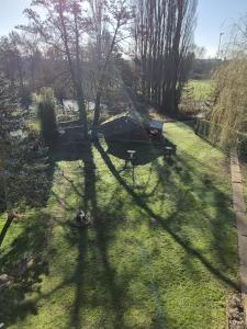 a shadow of a tree on the grass at maison prairie in Haguenau