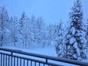 a snow covered yard with a snow covered christmas tree at goderdzi booking in Goderdzi